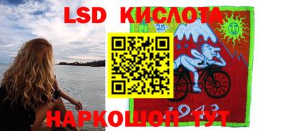 гидра Заводоуковск