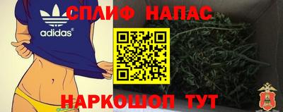 гидра Заводоуковск