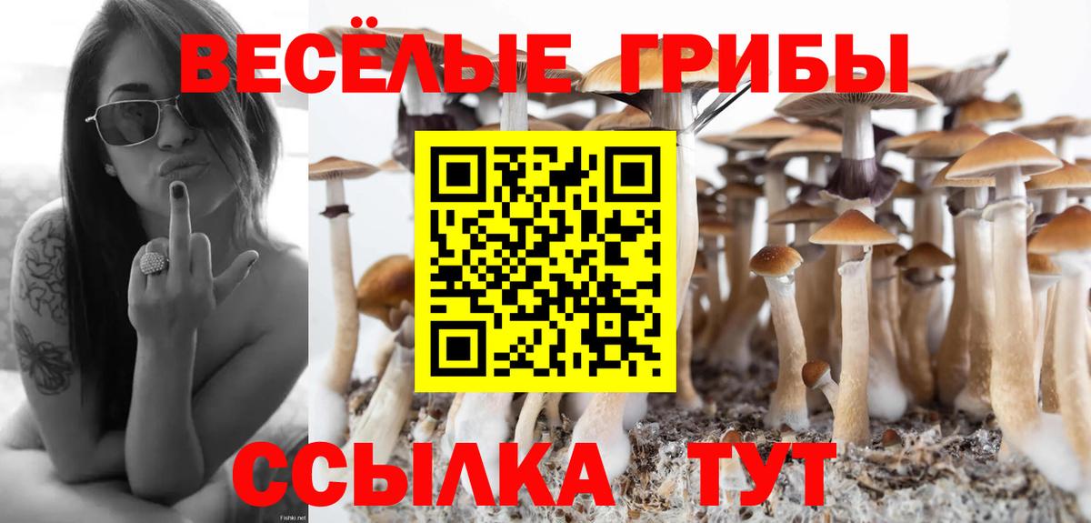 Псилоцибиновые грибы ЛСД Кольчугино