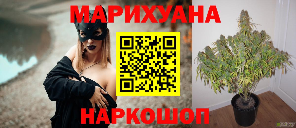 Марихуана планчик Кольчугино